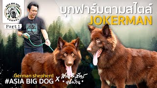 ของดีต้องมาดู Joker vs Asia Big Dog  part 1 [upl. by Geibel891]