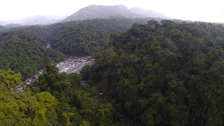 Las Áreas Protegidas de Guinea Ecuatorial  Trailer  English subtitles [upl. by Peterec]