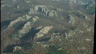 Helicopter tour over pine beetle invested trees in the Black Hills [upl. by Ettevram]