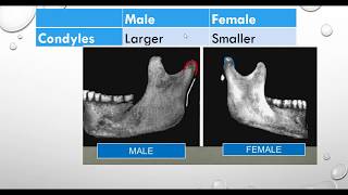 A Comparative Study of Male and Female Mandibles [upl. by Eltsryk37]