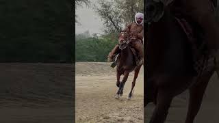 2nd Class Pacer Mare Ajwa Rider Ustad Kichu Khan horseriding allpakistantangahorserace [upl. by Naedan]