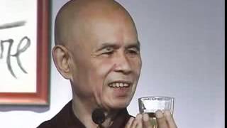 Thich Nhat Hanh On Birth and Death [upl. by Einahpats]