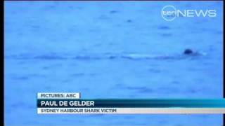 Shark Mauls Navy Diver [upl. by Niras]