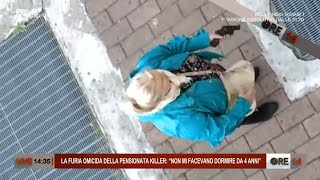 Treviglio anziana spara ai vicini quotNon mi facevano dormire da 4 anniquot  Ore 14 del 29042022 [upl. by Ivory]