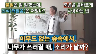 아무도 없는 숲속에서 나무가 쓰러질 때 소리가 날까 ㅣ 물질은 잘 알겠는데 의식깨달음은 어딨나 ㅣ 죽음을 올바르게 사용하는 법 ㅣ 도마복음 74 47절 [upl. by Senzer152]