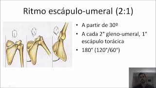 CINESIOLOGIA E BIOMECÂNICA Ritmo escápulo umeral [upl. by Onairam953]