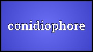 Conidiophore Meaning [upl. by Collbaith]