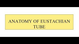 Anatomy of Eustachian Tube [upl. by Adlay]