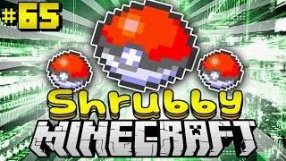 Ausgefallene EXPERIMENTE  Minecraft Shrubby 65 DeutschHD [upl. by Annodas]