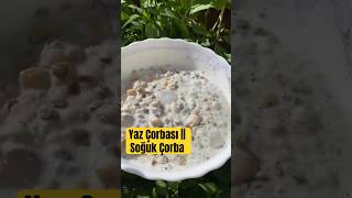 Yaz Çorbası  Soğuk çorba  Proteinli diyetin vazgeçilmezi  Aralıklı oruç tavsiyesi  Cold soup [upl. by Semela]