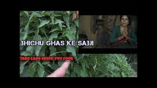 Bichhoo buti ka saag nettle leaf benefits [upl. by Tanny800]