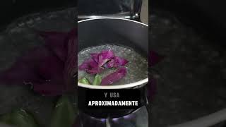 Así Debes Preparar el Té de Tradescantia Receta y Beneficios 🌿 [upl. by Doownil355]