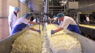 Cheese Making Process [upl. by Massab]