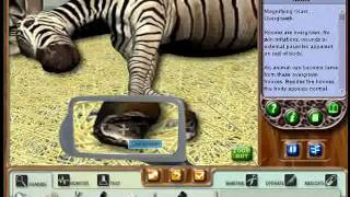 Zoo Vet Walkthrough Part 15 Case 14 [upl. by Tnafni]