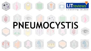 Pneumocystis [upl. by Celene]