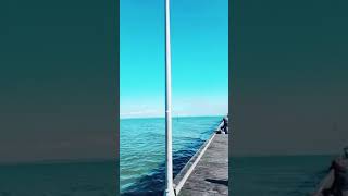 mordialloc Beach ccto shortvideo fypspotted trendingshorts fypシ viral youtubeshort [upl. by Marissa332]