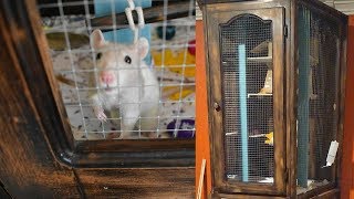 Building My Grotto Rat Cage [upl. by Naugal]