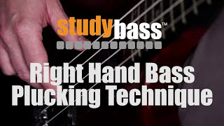 Plucking Right Hand Bass Technique  StudyBass [upl. by Adlesirc]