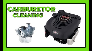 CLEANING A Briggs amp Stratton Quantum Lawnmower Carburetor [upl. by Mehalek]