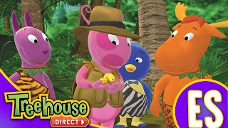 🔴 Los Backyardigans en Español  ¡Transmisión en Vivo [upl. by Lehcer]