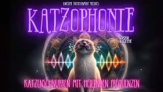 11 Stunden Tiefenentspannung für KatzenMenschen Katzenschnurren amp Heilende FrequenzenKatzophonie [upl. by Dinah436]