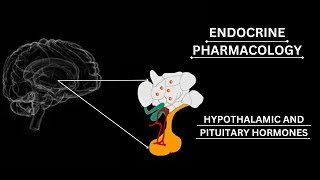 GonadotropinReleasing Hormone GnRH  AGONISTS AND ANTAGONISTS pharmacology katzung lippincot [upl. by Monney391]