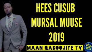 MURSAL MUUSE HEES QISO DHABA AFLAX 2019 [upl. by Olegna]