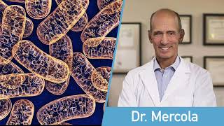 How to Improve Mitochondria Function  Dr Mercola [upl. by Astrea835]