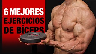 6 MEJORES Ejercicios para BICEPS ¡No te los Pierdas [upl. by Areehs]