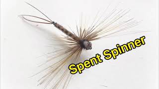 Spent Spinner Ephemera Vulgata Mayfly [upl. by Atworth]