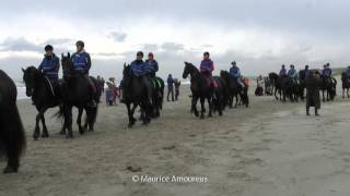 400 friese paarden op strand Callantsoog [upl. by Enelyahs]