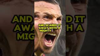 Zlatan Ibrahimović and the Lion Encounter shorts zlatan ibrahimović [upl. by Assillam523]