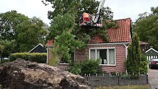 Boom valt op woning in Finsterwolde [upl. by Seroka]