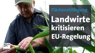 Flächenstilllegung Landwirte kritisieren EURegelung  BR24 [upl. by Verdha]