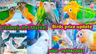 Uluberia pet market  Birds pirce updated 19082023 Uluberia pakhir haat sale petvlogcheapest [upl. by Arraes]