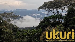 Magic in Nyungwe National Park Rwanda [upl. by Llenod]