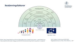Folkhälsovetenskap vid Stockholms universitet [upl. by Enileuqcaj998]