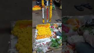 Hmne kiye tekri sarkar ke darshan  anusiddhant subscribe vlog fyp fy trending viralpost [upl. by Noyk]