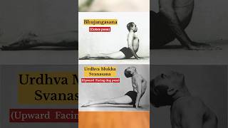 Difference between Bhujangasana Cobra pose and Urdhva Mukha Svanasana Upward facing dog pose [upl. by Mian]