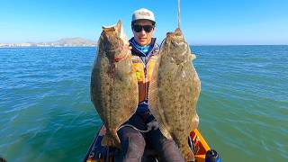 Commercial Fishing California Halibut from a Kayak Good to be Back [upl. by Grethel686]