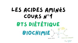 LESSENTIEL SUR LES ACIDES AMINÉS pour le BTS DIETETIQUE cours de biochimie  Léa Réveillée [upl. by Atalie142]