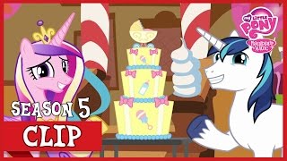 Shining Armor and Cadence are Having A BABY The One Where Pinkie Pie Knows  MLP FiM HD [upl. by Charlot]