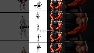 Transform Your Grip Best Forearm Workouts for Massive Strength [upl. by Ahsein730]