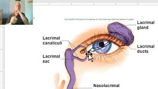 Anatomy of head and neck module in Arabic 40 Lacrimal apparatus  by Dr Wahdan [upl. by Yrac]