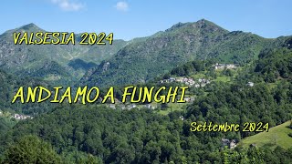 Valsesia 2024 Andiamo a funghi Settembre 2024 [upl. by Htebazileyram680]