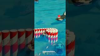 Shark attack 08  আমাদের উপর সার্ক আক্রমণ করেছে 🥺😱 facts shorts [upl. by Ellwood]