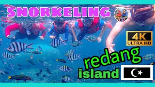 4K VIDEO SO YOU CAN SEE THE FISH  Snorkeling Trip Redang Island 2022 [upl. by Esirrehc]