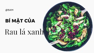 Dinh dưỡng xanh Bí mật của rau ăn lá [upl. by Harrad798]