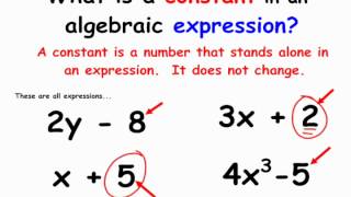 Basic Algebraic Vocabulary [upl. by Ahsiemak]