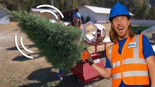 Explore a Christmas Tree Farm with Handyman Hal  Pick the perfect Christmas Tree  On the Farm [upl. by Flosi190]